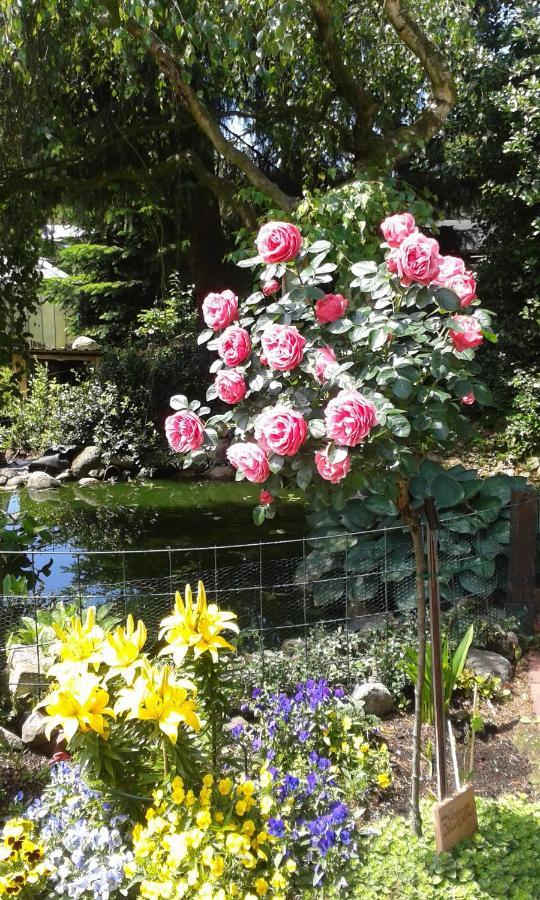 Landhaus Burs Loningen 外观 照片